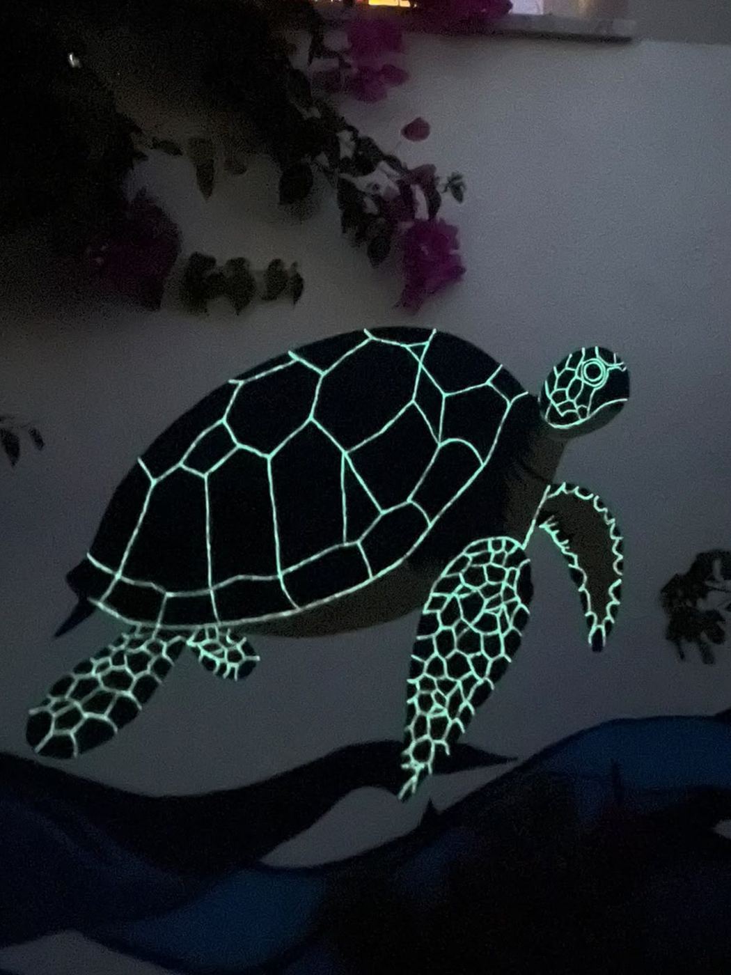 Dalyan Caretta Caretta duvar resmi, karanlıkta ışıma görünümü
