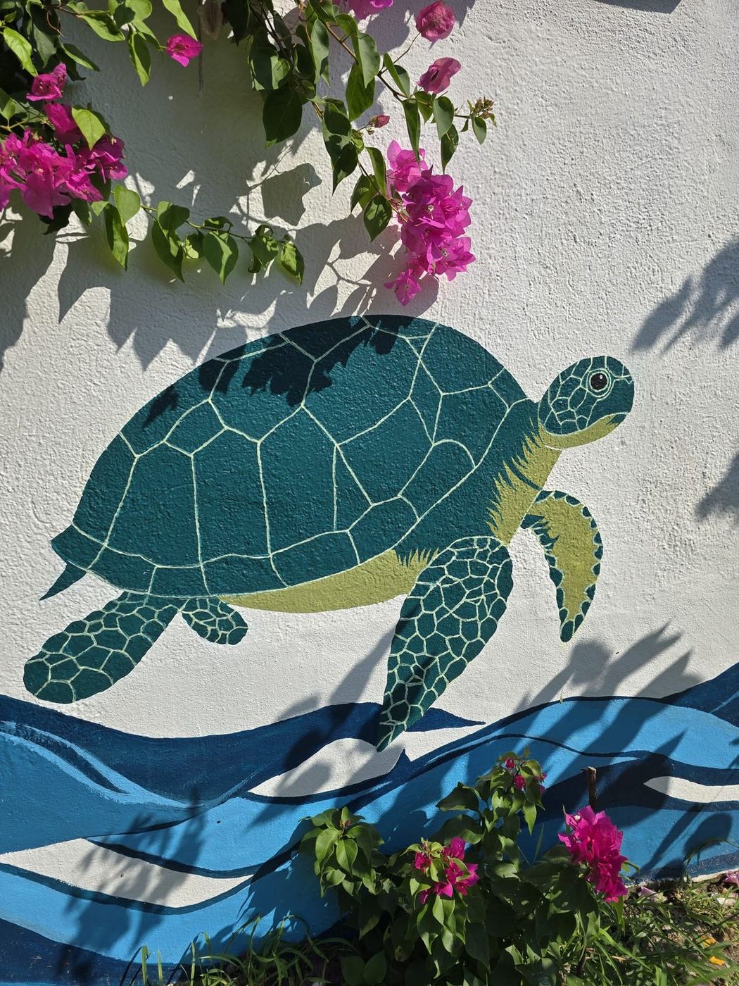 Dalyan Caretta Caretta duvar resmi, gündüz görünümü